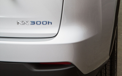 NX 300H